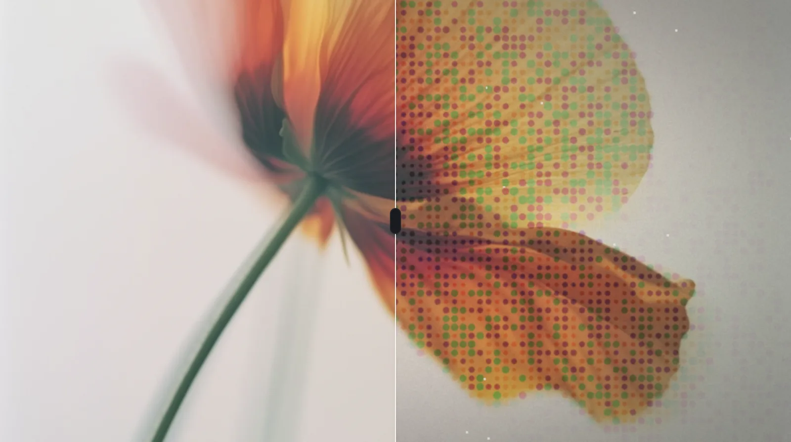 Image — Halftone